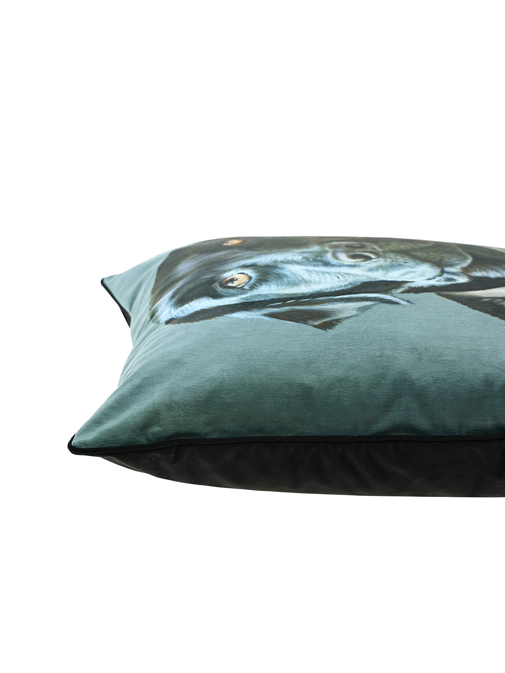 Baghie The Lab Cushion 50x50cm