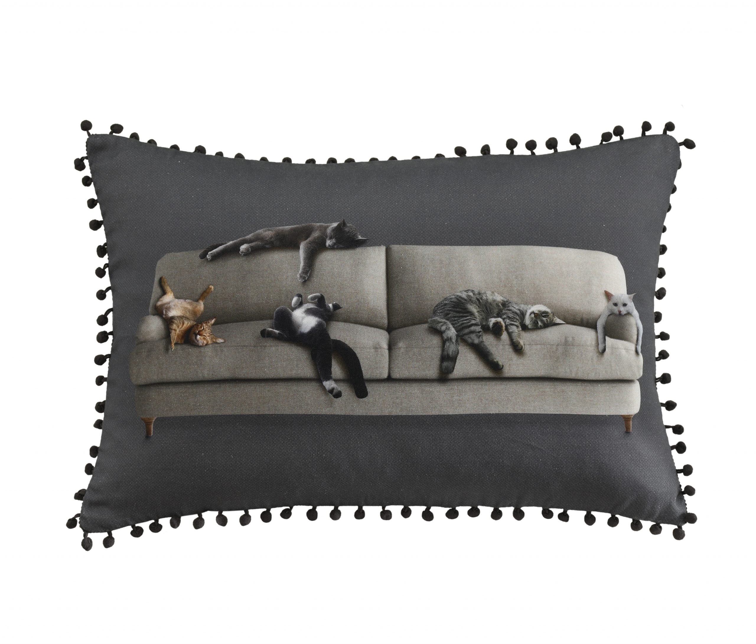 Couch Cushion (Cushion Cover Only)