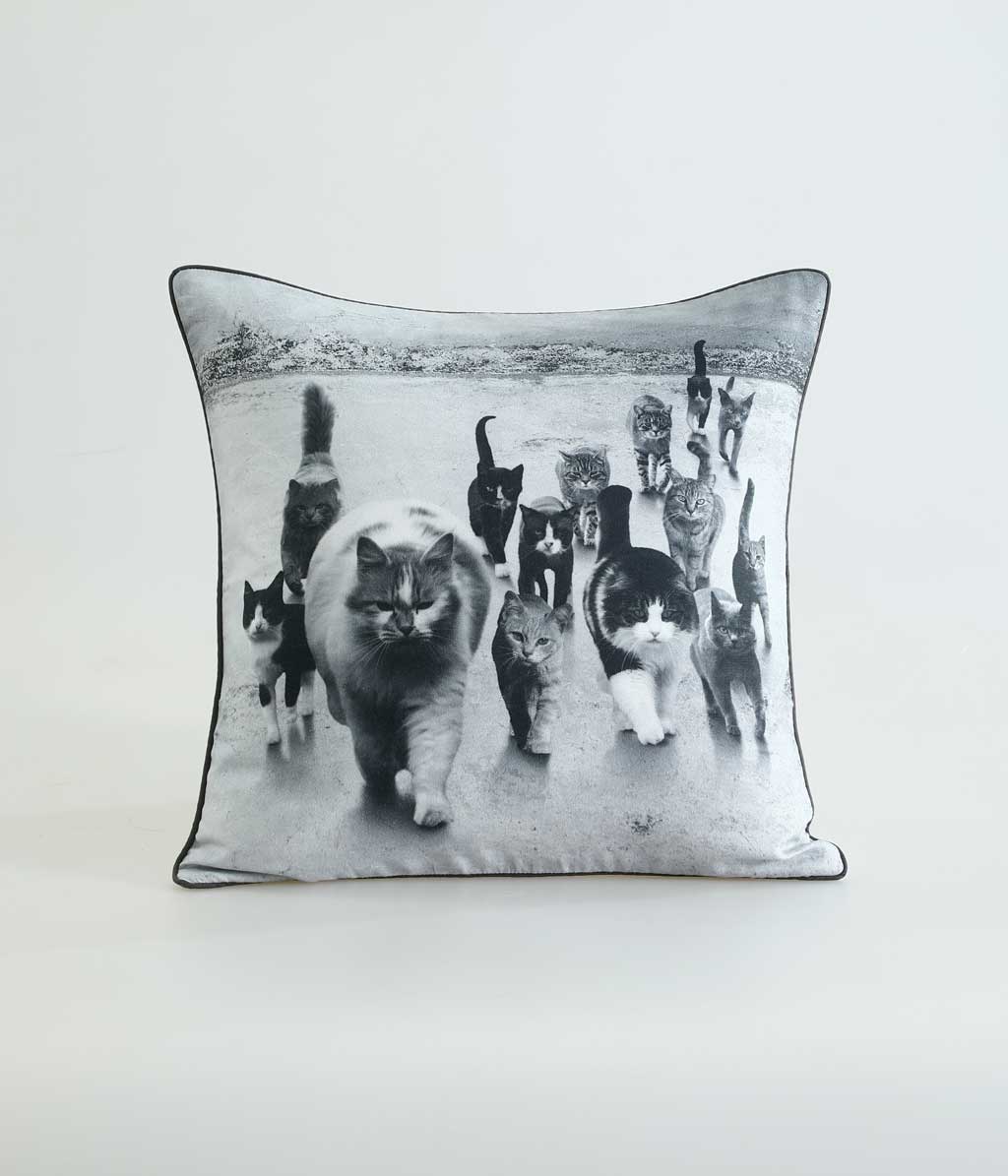 Catmob Cushion (Cushion Cover Only)